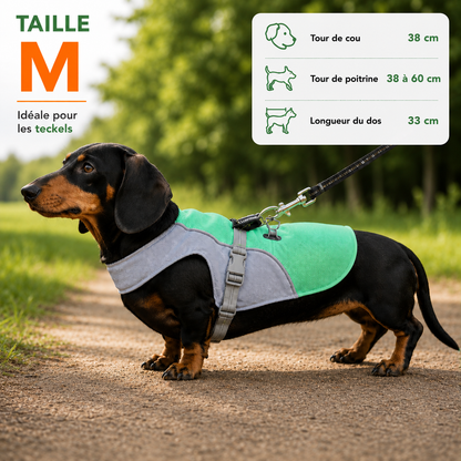 Harnais de refroidissement pour chiens, harnais de sécurité respirant réfléchissant, Protection UV...
