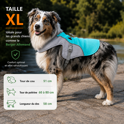 Harnais de refroidissement pour chiens, harnais de sécurité respirant réfléchissant, Protection UV...