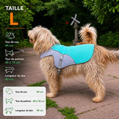 Harnais de refroidissement pour chiens, harnais de sécurité respirant réfléchissant, Protection UV...