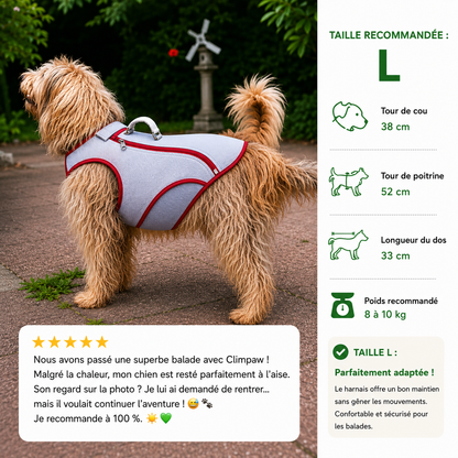 Harnais de refroidissement pour chiens, rafraîchit, protège et sécurise votre chien