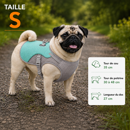 Harnais de refroidissement pour chiens, harnais de sécurité respirant réfléchissant, Protection UV...