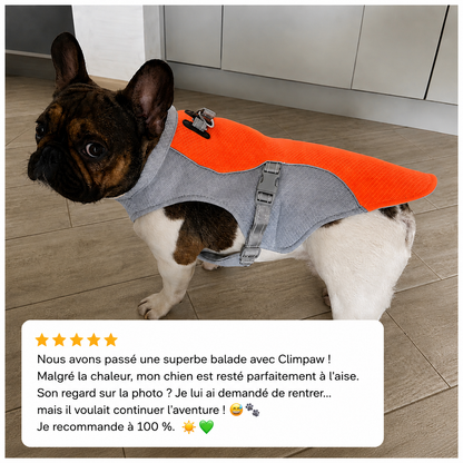 Harnais de refroidissement pour chiens, harnais de sécurité respirant réfléchissant, Protection UV...