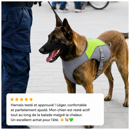 Harnais de refroidissement pour chiens, harnais de sécurité respirant réfléchissant, Protection UV...