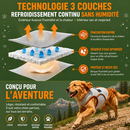 Harnais de refroidissement pour chiens, rafraîchit, protège et sécurise votre chien