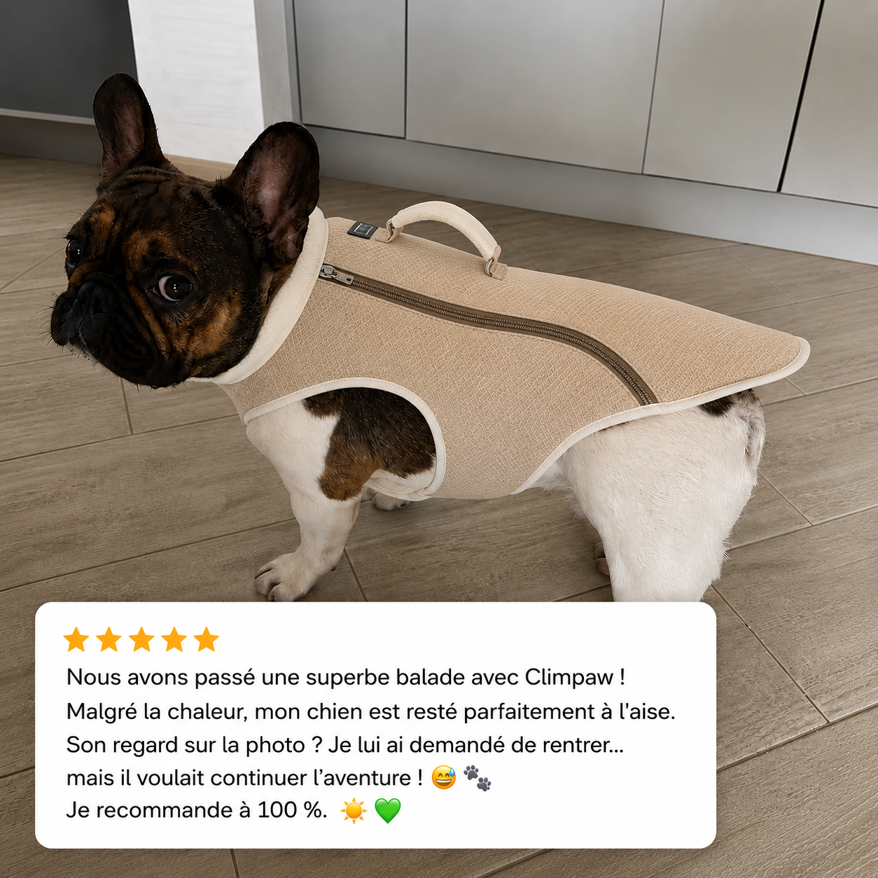 Harnais de refroidissement pour chiens, rafraîchit, protège et sécurise votre chien